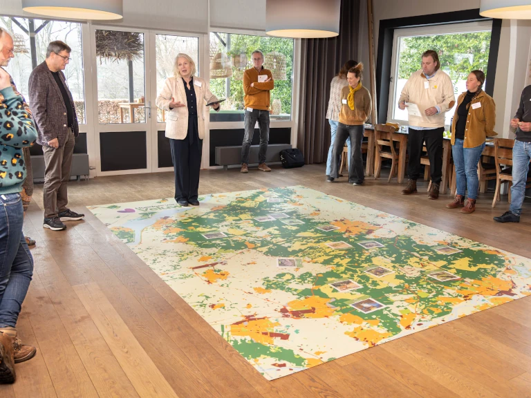 Programma Stemmen van de Veluwe