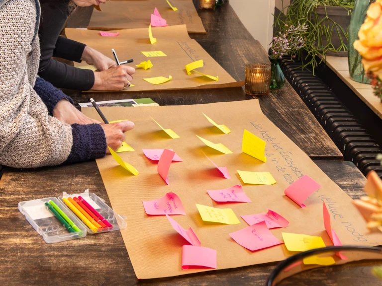 Programma Stemmen van de Veluwe