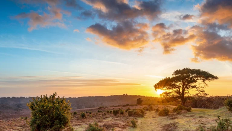 Veluwe zonsondergang