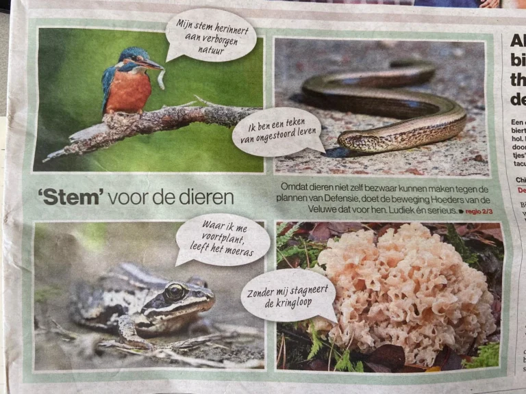 Foto van kranten artikel
