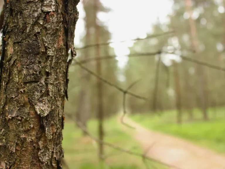 Hoeders van de Veluwe