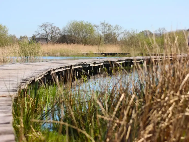 Hoeders van de Veluwe
