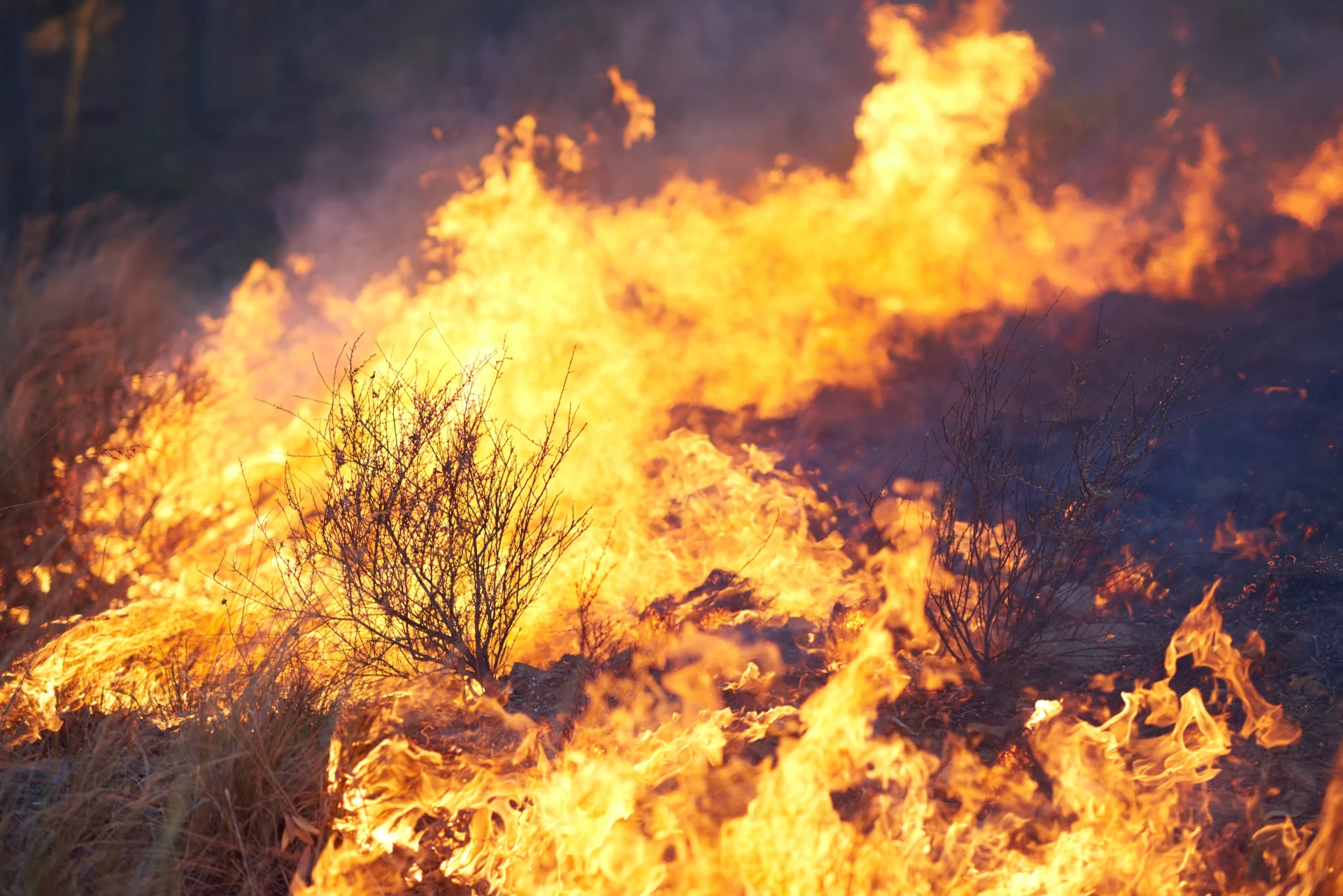 natuurbrand veluwe